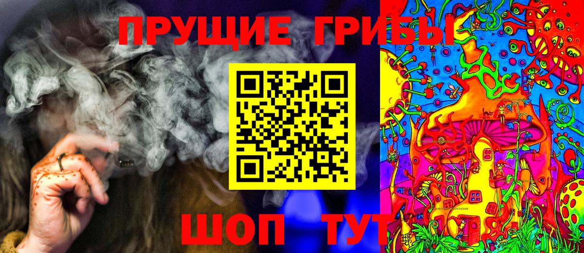 Псилоцибиновые грибы Psilocybine cubensis  Сибай 